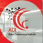 Asian Outsourcing Institute